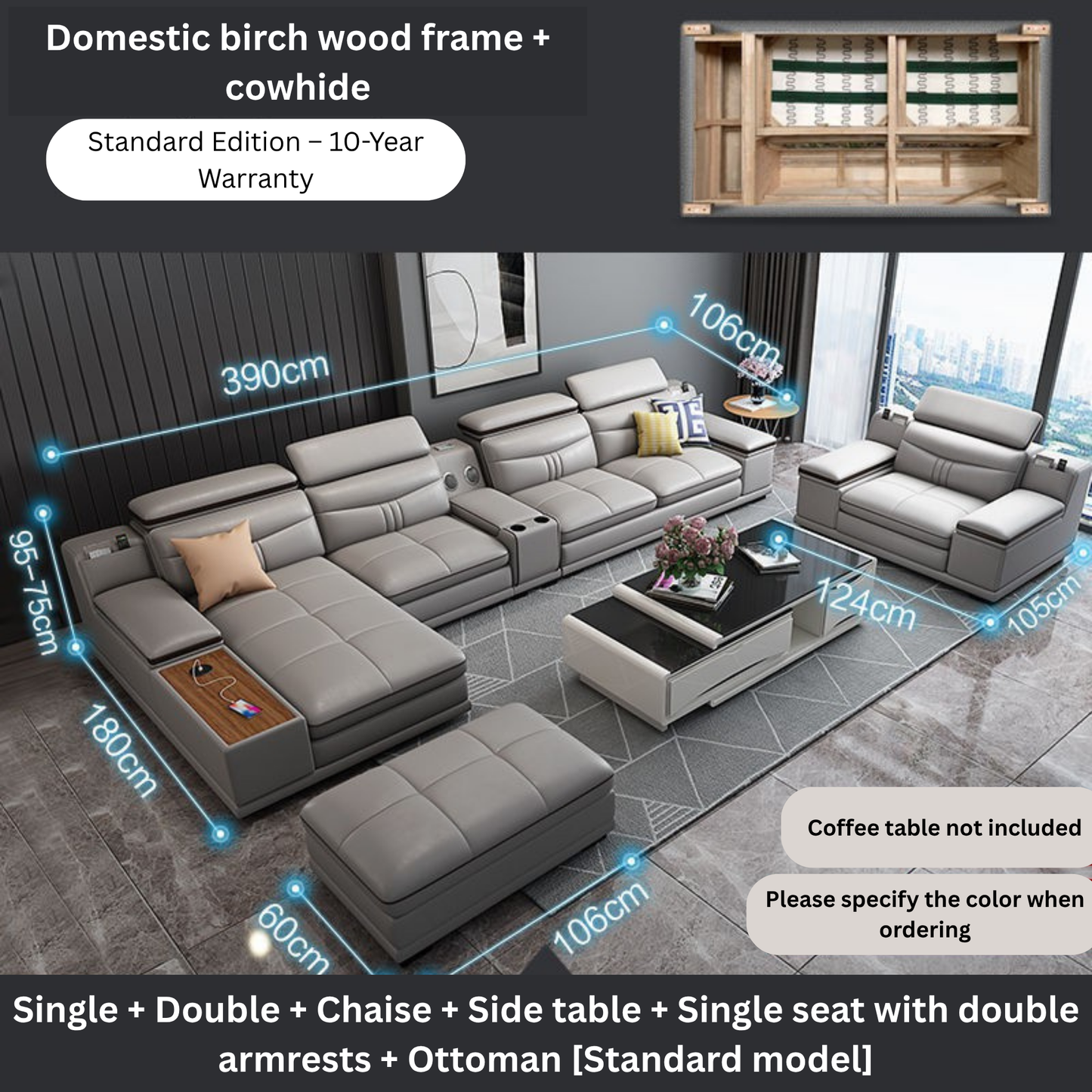 Leather Couch with Sleeper
Sectional-Moonsaire